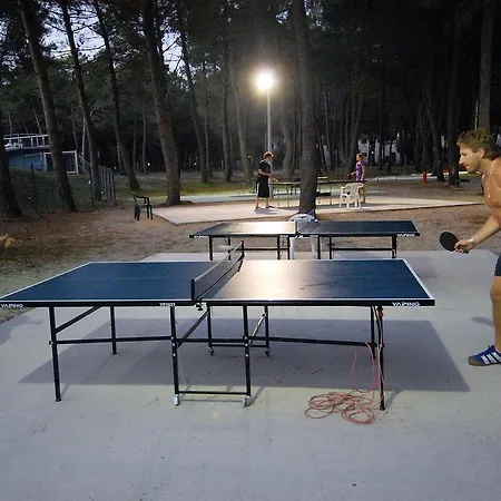 Holiday Zaton Holiday Resort.38 Nin